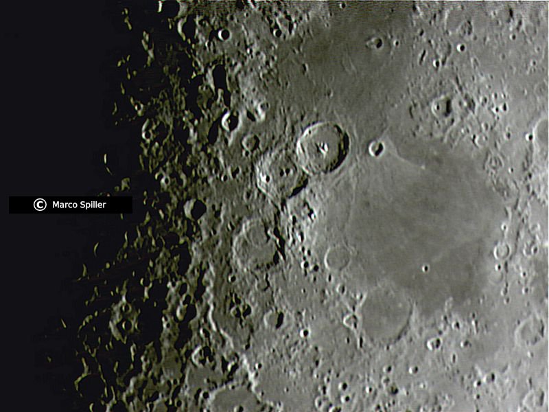 Theophilus & Company